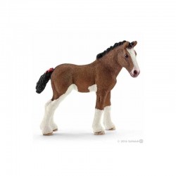 PULEDRO CLYDESDALE