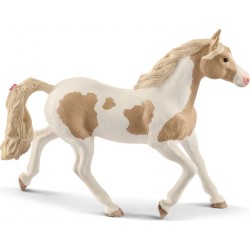 GIUMENTA PAINT HORSE