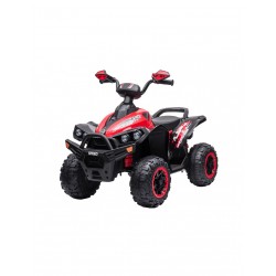 QUAD ELETTRICO CAVALCABILE...