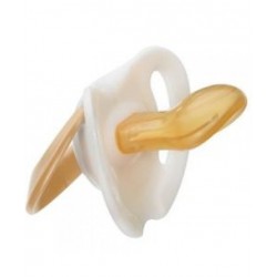 SUCCHIETTO LATTICE GENIUS...