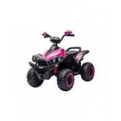 QUAD ELETTRICO CAVALCABILE...