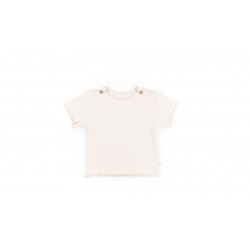 MAGLIA MANICHE CORTE PURE...