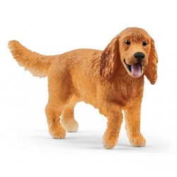 COCKER SPANIEL INGLESE