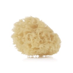 SPUGNA NATURALE PZ02