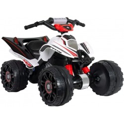 QUAD ELETTRICO CAVALCABILE...