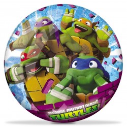 PALLINA TURTLES