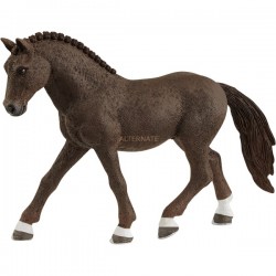 CASTRONE DI GERMAN RIDING...
