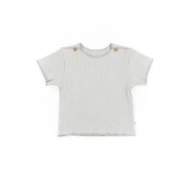 MAGLIA MANICHE CORTE PURE...