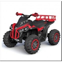 QUAD ELETTRICO CAVALCABILE...