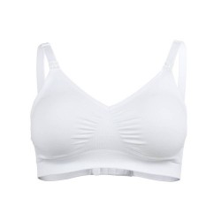 REGGISENO KEEP COOL...