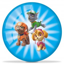 PALLINA PAW PATROL