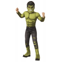 COSTUME HULK ENDGAME...