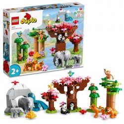 ANIMALI DELL ASIA DUPLO...