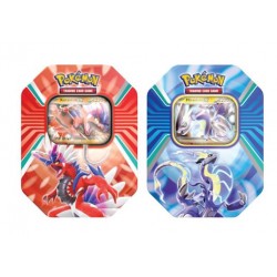 POKEMON TIN CARTE SUMMER