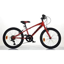 BICICLETTA MOUNTAIN BIKE...