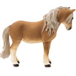 CAVALLA PONY STUTE