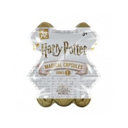 HARRY POTTER PERSONAGGIO CAPS