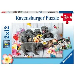PUZZLE 2X12 PEZZI PICCOLE...