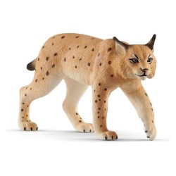 LINCE