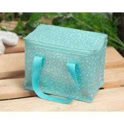 BORSA FRIGO 21 X 13 X 16 CM...