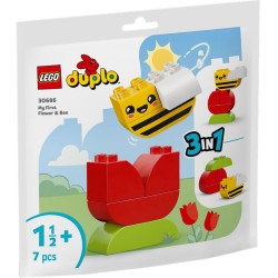 IL MIO PRIMO FIORE E APE IN...