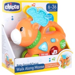 RENNA LUCI   SUONI CHICCO