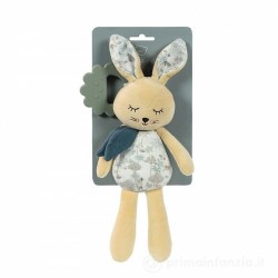 PELUCHE MASSAGGIAGENGIVE...