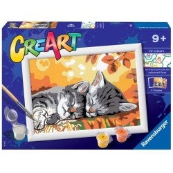 CREART SERIE E   GATTINI IN...