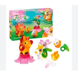 FLORA DAFFODIL  BUTTERCUP E...