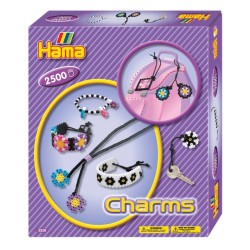 BEADS GIFT BOX   CHARMS