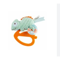 MASSAGGIAGENGIVE CAMALEONTE...