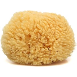 SPUGNA NATURALE
