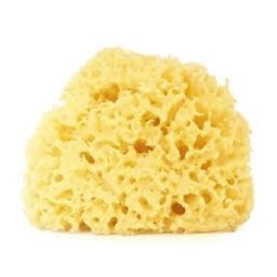 SPUGNA MARINA NATURALE N 10 11