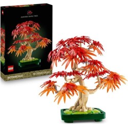 BONSAI DI ACERO ROSSO...