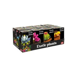 COSTRUZIONI PIANTE ESOTICHE...