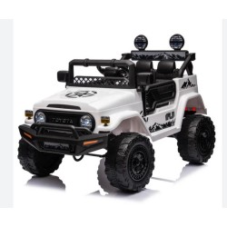 AUTO TOYOTA CRUISER...