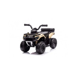 QUAD ELETTRICO CAVALCABILE...