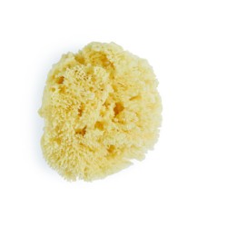 SPUGNA NATURALE GRANDE