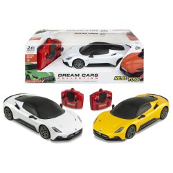 AUTO RADIOCOMANDATA...