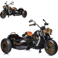 MOTO ELETTRICA CAVALCABILE...