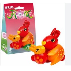 FLORA ZINNIA E PEACH