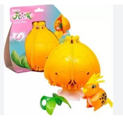 FLORA MARIGOLD LA CASA IN...