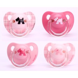 SUCCH EVOLUTION ANAT LATT...