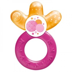 DENTARUOLO CON SEZIONE...