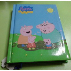 DIARIO STANDARD 12 MESI...