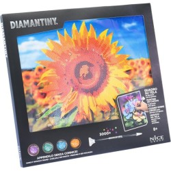 DIAMANTINY QUADRO...
