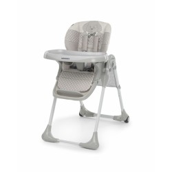 MEETING SEGGIOLONE PUPPY