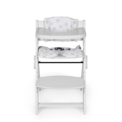 SEGGIOLONE EVOLUTIVO...