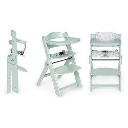 SEGGIOLONE EVOLUTIVO...