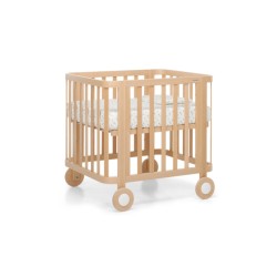 CULLA EVOLUTIVA NATURALE...